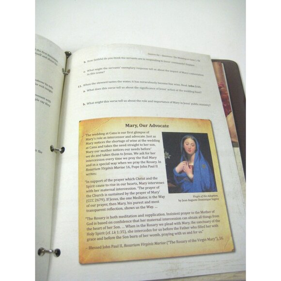 Mary A Biblical Walk With The Blessed Mother Edward Sri Student Guide Binder - Picture 7 of 8